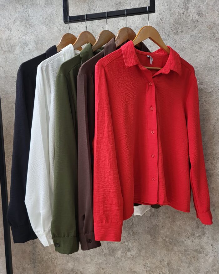 Camisa ANTHONY