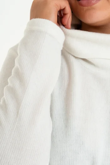 Alternative view of Poleron DENEBOLA